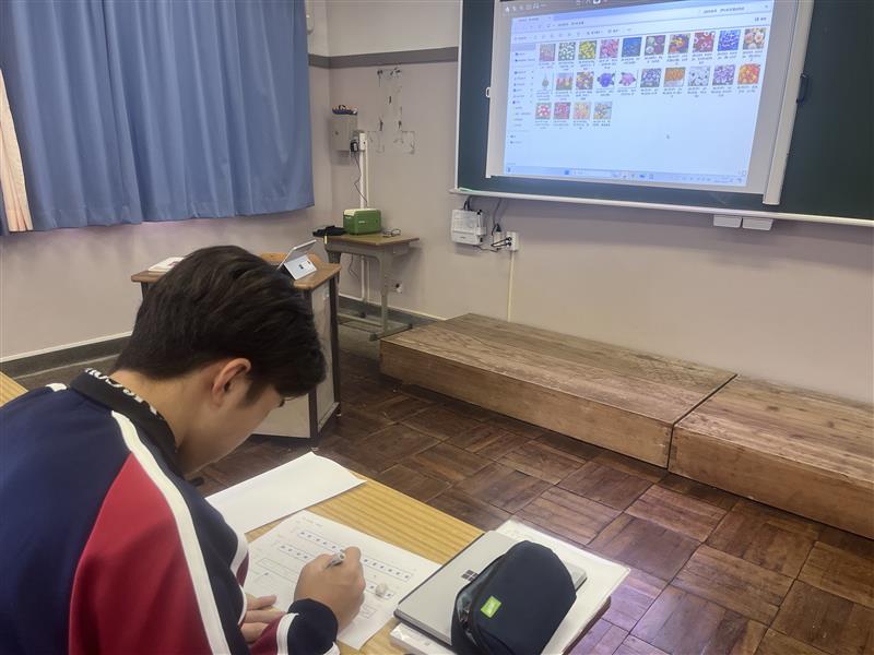 Image - 2025-11-19T174542.487